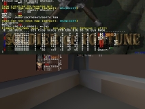 q vs ef10