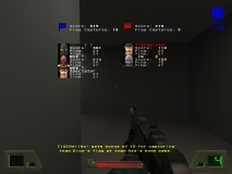 q vs iq