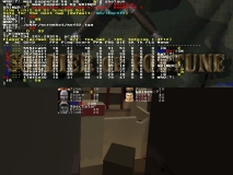q vs iq14