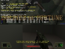 q vs iq2