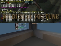 q vs iq4