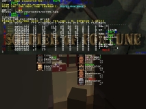q vs TT8