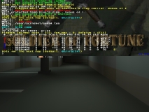 q vs wt4