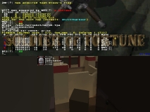 q vs wt6