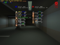TT vs MP13