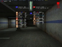1stegdguys