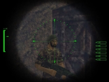 snipe