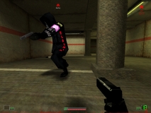 tdw skin