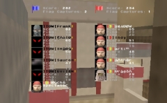 tdw vs p op irq