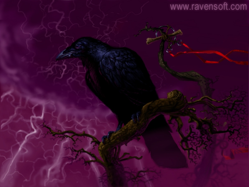 ravensoftcom800