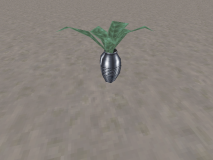 misc_generic_plant_potted