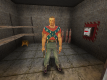 skinhead2flag