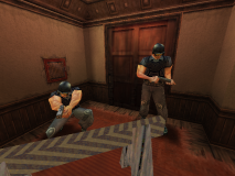 swat