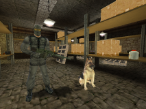 m_x_germanshep